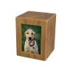 Natural Photo Pet Urn - Image 4